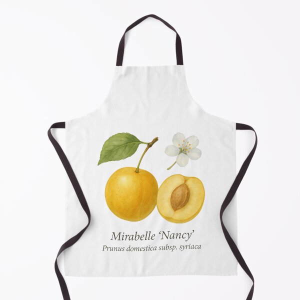 Item preview, Mirabelle ‘Nancy’ – Golden Orchard Botanical Illustration designed and sold by BloomKind.