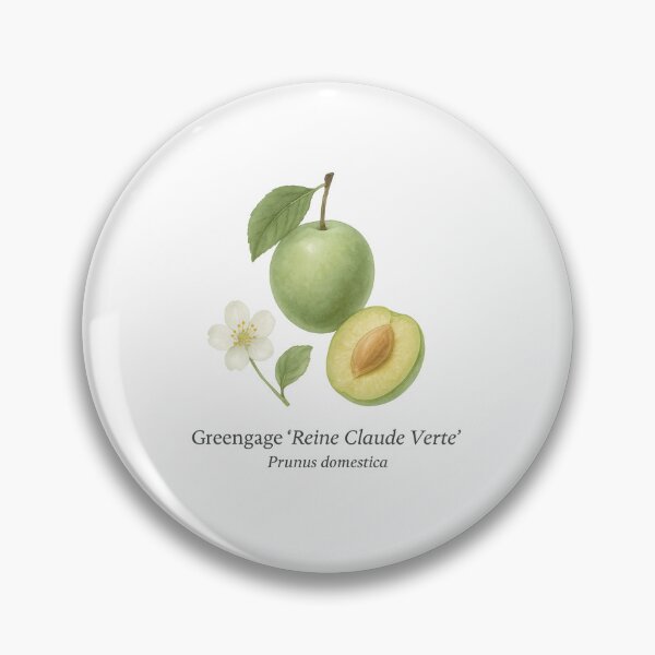 Item preview, Greengage ‘Reine Claude Verte’ – Classic Green Botanical Illustration designed and sold by BloomKind.