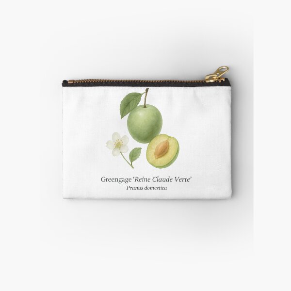 Item preview, Greengage ‘Reine Claude Verte’ – Classic Green Botanical Illustration designed and sold by BloomKind.