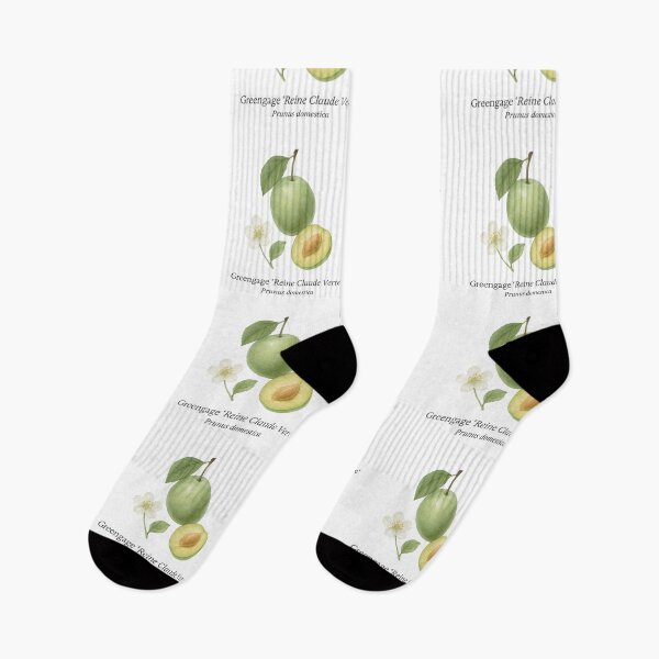 Item preview, Greengage ‘Reine Claude Verte’ – Classic Green Botanical Illustration designed and sold by BloomKind.