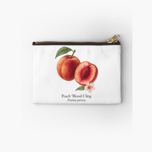 Artikelvorschau, Pfirsich „Blood Cling“ – Botanische Illustration der rotfleischigen Sorte entworfen und verkauft von BloomKind.