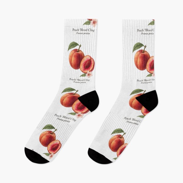 Item preview, Peach ‘Blood Cling’ – Red-Fleshed Botanical Illustration designed and sold by BloomKind.