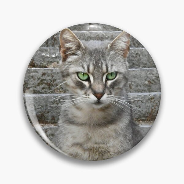 Item preview, The Green-Eyed Cat – Intense Gaze / Swiss Art Photography designed and sold by Raphael Wolf.