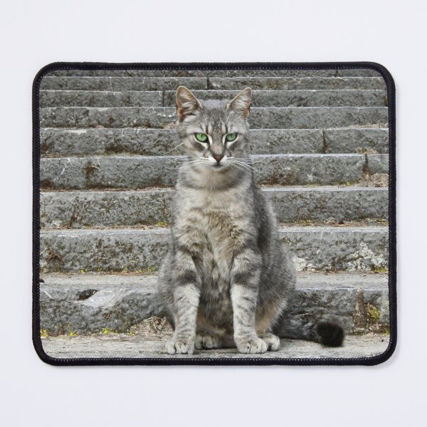 Item preview, The Green-Eyed Cat – Intense Gaze / Swiss Art Photography designed and sold by Raphael Wolf.