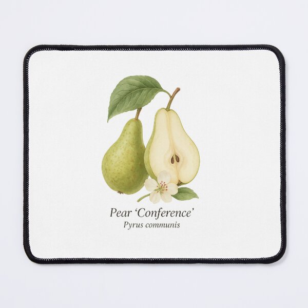 Item preview, Pear ‘Conference’ – Elegant Botanical Illustration designed and sold by BloomKind.