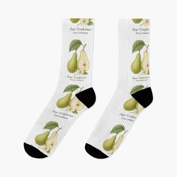 Item preview, Pear ‘Conference’ – Elegant Botanical Illustration designed and sold by BloomKind.