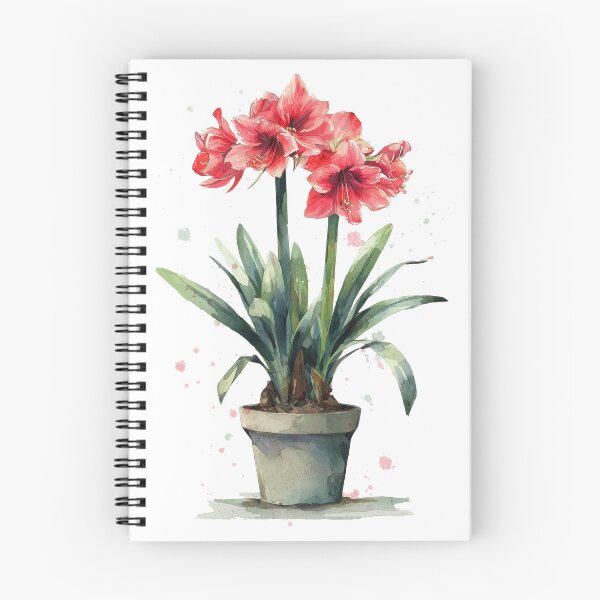 Item preview, Amaryllis in Watercolour designed and sold by BTNYBayCo.