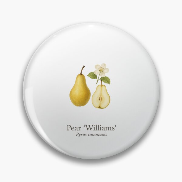 Item preview, Pear ‘Williams’ – Classic Orchard Botanical Illustration designed and sold by BloomKind.