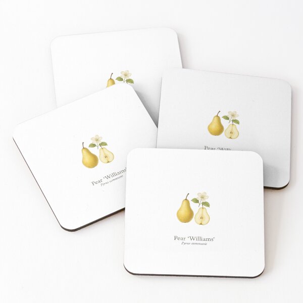Item preview, Pear ‘Williams’ – Classic Orchard Botanical Illustration designed and sold by BloomKind.