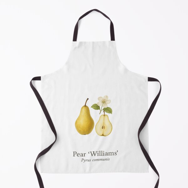 Item preview, Pear ‘Williams’ – Classic Orchard Botanical Illustration designed and sold by BloomKind.