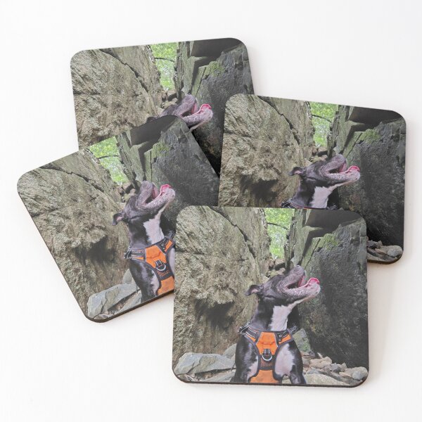 Item preview, Dog Licking Cliff designed and sold by Mountain Images.