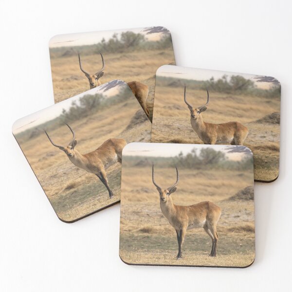 Item preview, Male Impala designed and sold by Kay Brewer.
