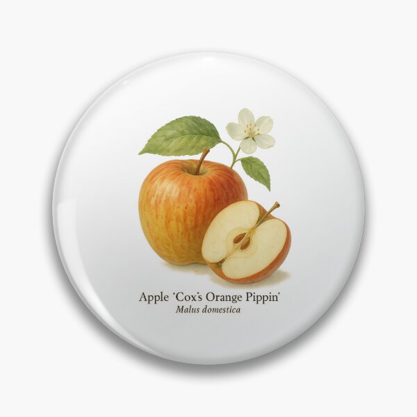 Item preview, Apple ‘Cox’s Orange Pippin’ – Vintage Orchard Botanical Illustration designed and sold by BloomKind.