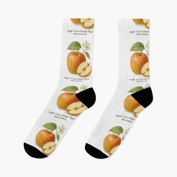 Item preview, Apple ‘Cox’s Orange Pippin’ – Vintage Orchard Botanical Illustration designed and sold by BloomKind.