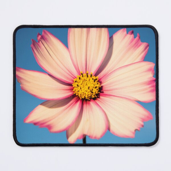 Item preview, Cosmos designed and sold by JEZ22.