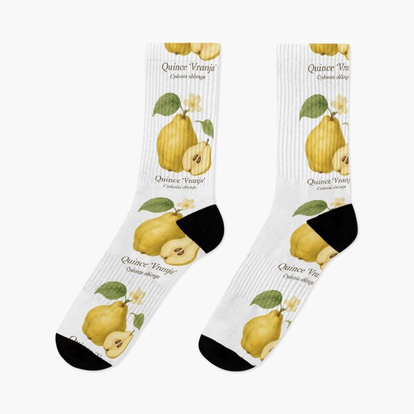 Item preview, Quince ‘Vranja’ – Golden Artisanal Botanical Illustration designed and sold by BloomKind.