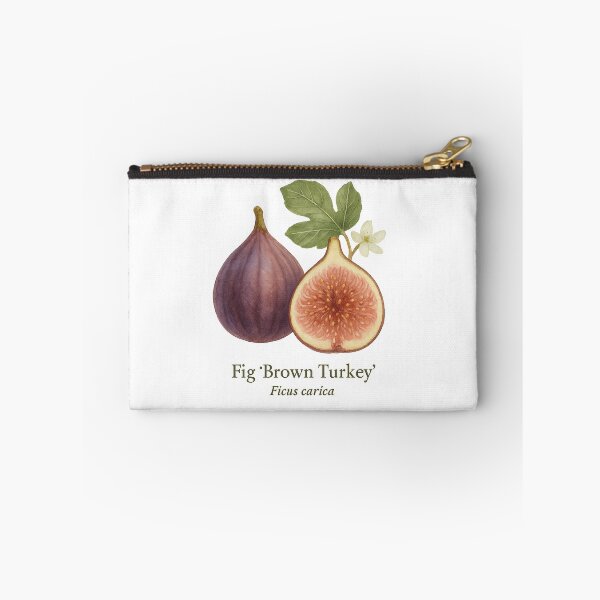 Item preview, Fig ‘Brown Turkey’ – Deep Rose & Amber Botanical Illustration designed and sold by BloomKind.