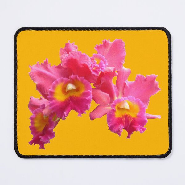 Item preview, Frilly Pink & Yellow Orchid Die Cut designed and sold by JoyousArt4u.