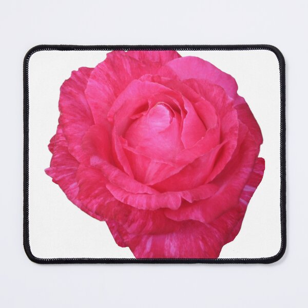 Item preview, Variegated, Pink, Valentine's Day Rose Die Cut designed and sold by JoyousArt4u.