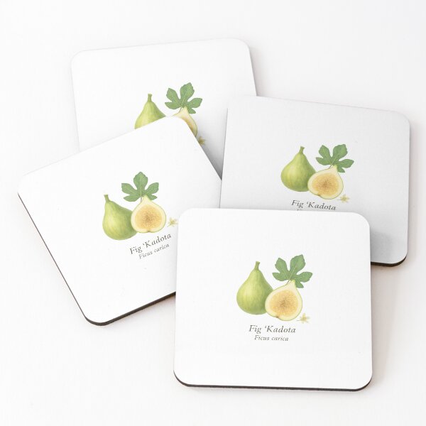 Item preview, Fig ‘Kadota’ – Light Honey Botanical Illustration designed and sold by BloomKind.