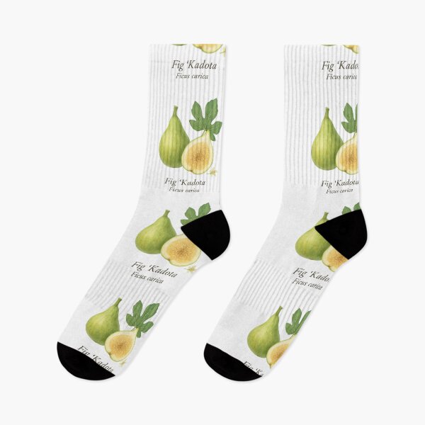 Item preview, Fig ‘Kadota’ – Light Honey Botanical Illustration designed and sold by BloomKind.
