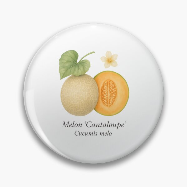 Item preview, Melon ‘Cantaloupe’ – Sunlit Summer Botanical Illustration designed and sold by BloomKind.