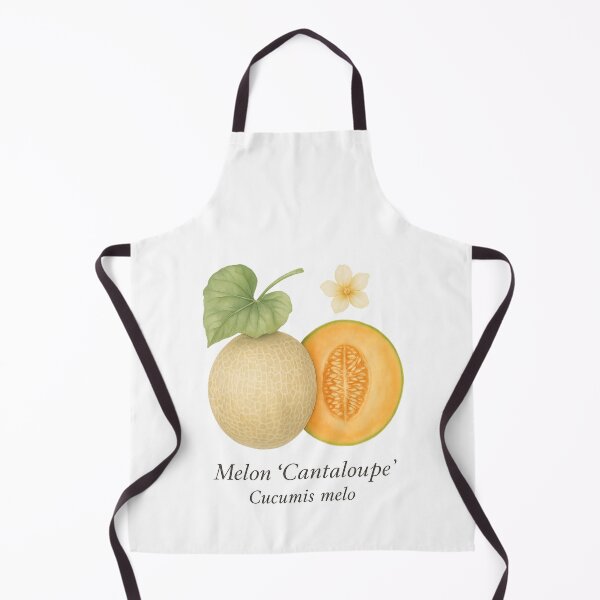 Item preview, Melon ‘Cantaloupe’ – Sunlit Summer Botanical Illustration designed and sold by BloomKind.