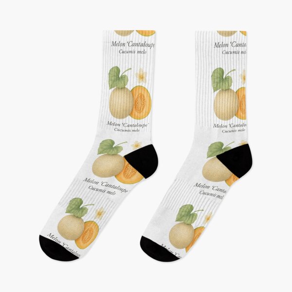 Item preview, Melon ‘Cantaloupe’ – Sunlit Summer Botanical Illustration designed and sold by BloomKind.