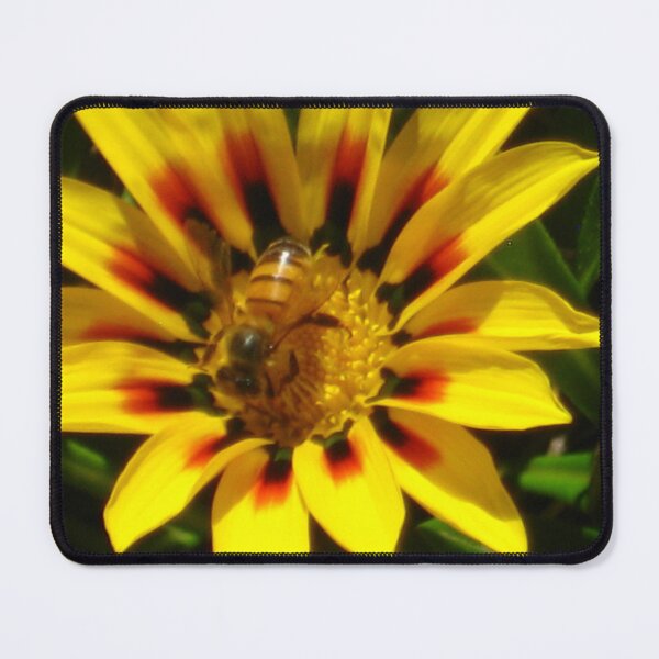 Item preview, Honeybee Foraging on Brilliant Yellow, Red, and Black Gazania designed and sold by JoyousArt4u.