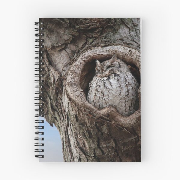Item preview, Observing Screech Owl designed and sold by Kerri Ann McClellan.