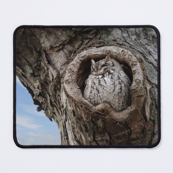 Item preview, Observing Screech Owl designed and sold by Kerri Ann McClellan.