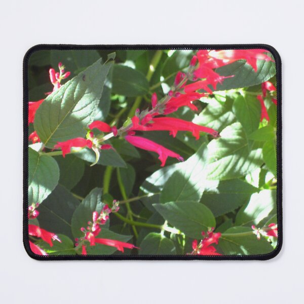 Item preview, Pineapple Sage in Dappled Sunlight designed and sold by JoyousArt4u.