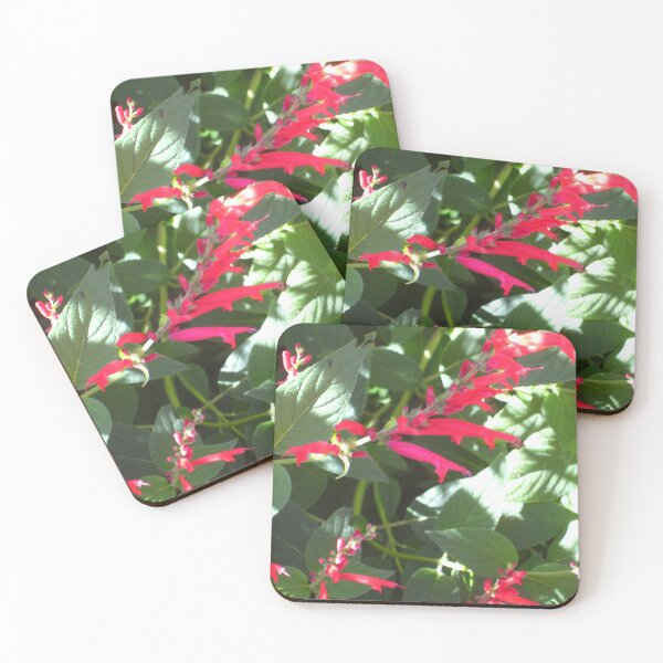 Item preview, Pineapple Sage in Dappled Sunlight designed and sold by JoyousArt4u.