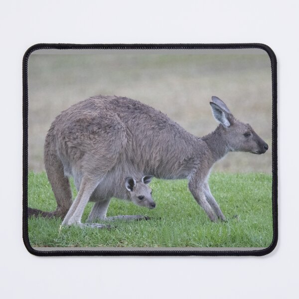 Item preview, Hello World... Kangaroo with Joey in pouch designed and sold by imaginethis.
