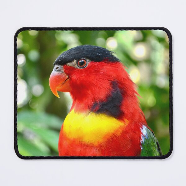 Item preview, Tropical Parrot Portrait designed and sold by Daria Lev Photo Art.