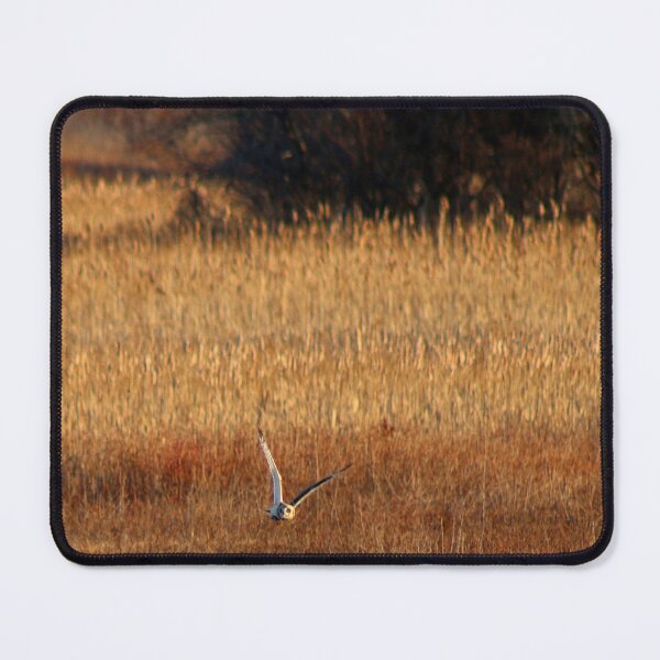 Item preview, Long Earred Owl Hunting designed and sold by Kerri Ann McClellan.