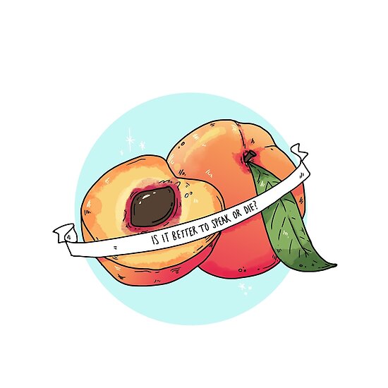 "speak or die peach / cmbyn" Poster by finniel Redbubble
