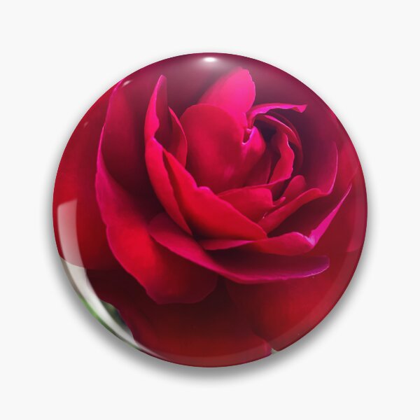 Item preview, Classic Red Rose in Bloom with Velvet Petals designed and sold by Be Captured by Brittany Emma.