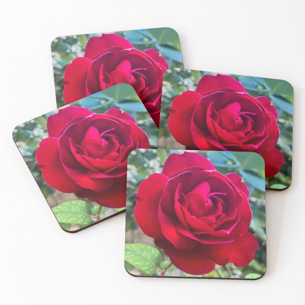 Item preview, Classic Red Rose in Bloom with Velvet Petals designed and sold by Be Captured by Brittany Emma.