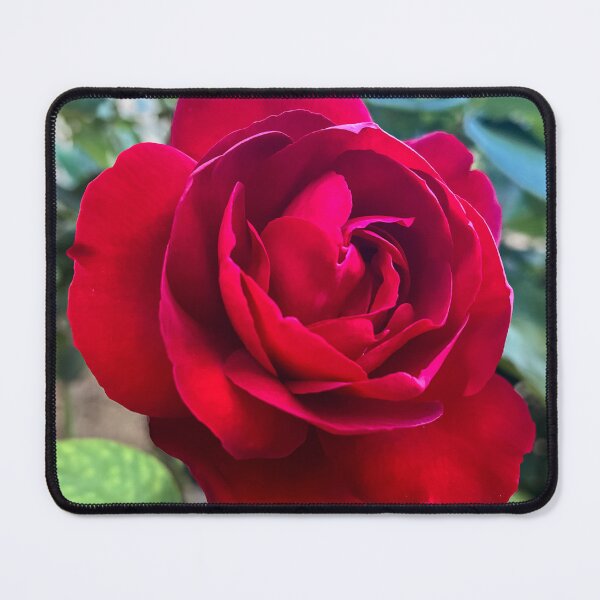 Item preview, Classic Red Rose in Bloom with Velvet Petals designed and sold by Be Captured by Brittany Emma.