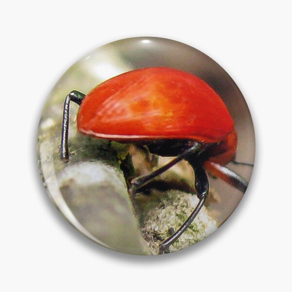 Item preview, Insect in the Guatemala Jungle designed and sold by heatherfriedman.