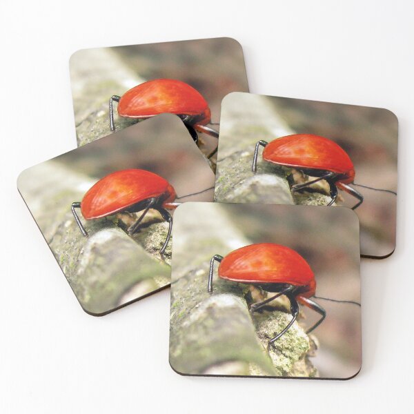 Item preview, Insect in the Guatemala Jungle designed and sold by heatherfriedman.