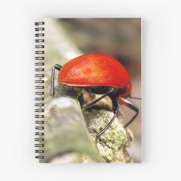 Item preview, Insect in the Guatemala Jungle designed and sold by heatherfriedman.
