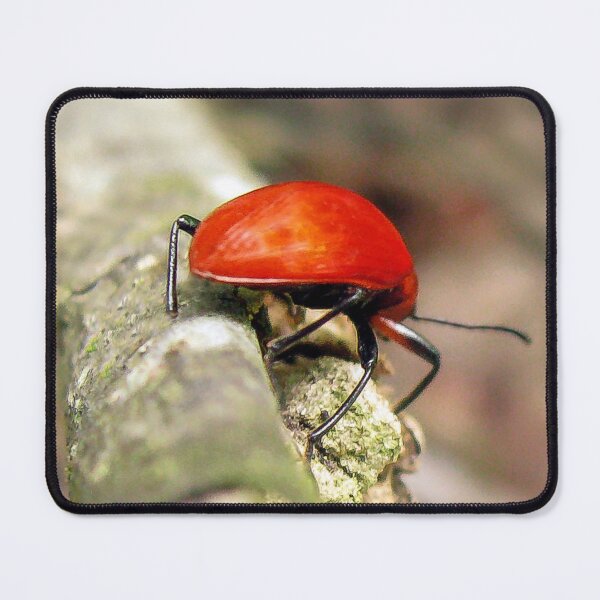 Item preview, Insect in the Guatemala Jungle designed and sold by heatherfriedman.