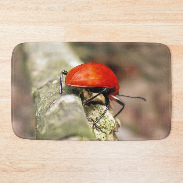 Item preview, Insect in the Guatemala Jungle designed and sold by heatherfriedman.