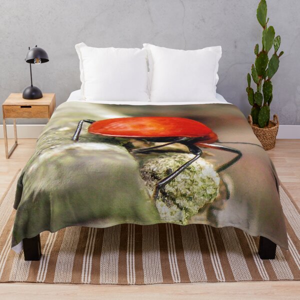 Item preview, Insect in the Guatemala Jungle designed and sold by heatherfriedman.