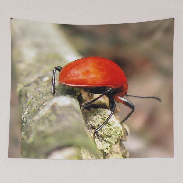 Item preview, Insect in the Guatemala Jungle designed and sold by heatherfriedman.