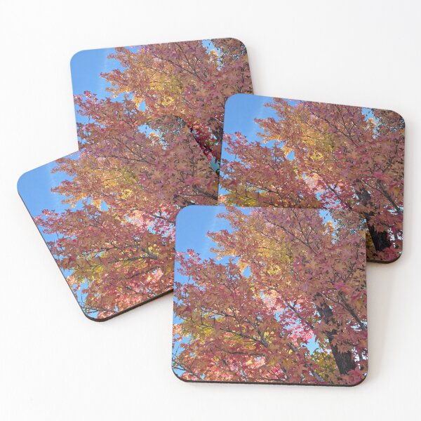 Item preview, Putting on a Show designed and sold by Betsy Phillips.