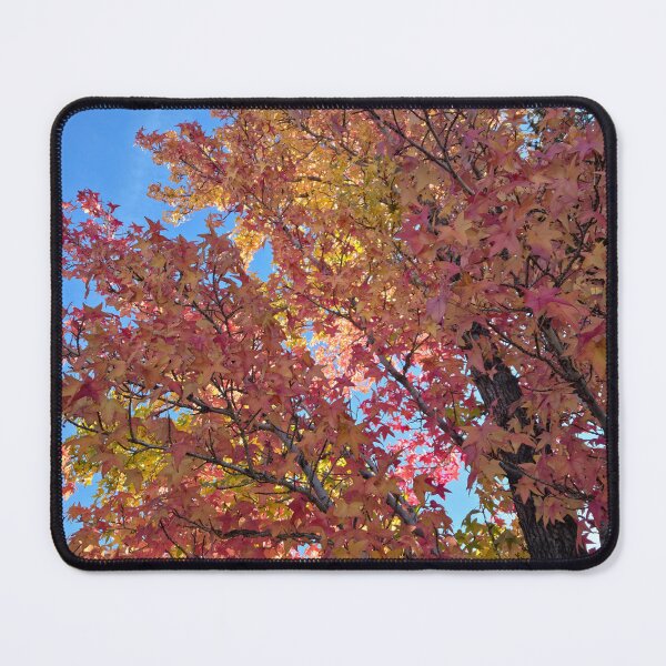 Item preview, Putting on a Show designed and sold by Betsy Phillips.