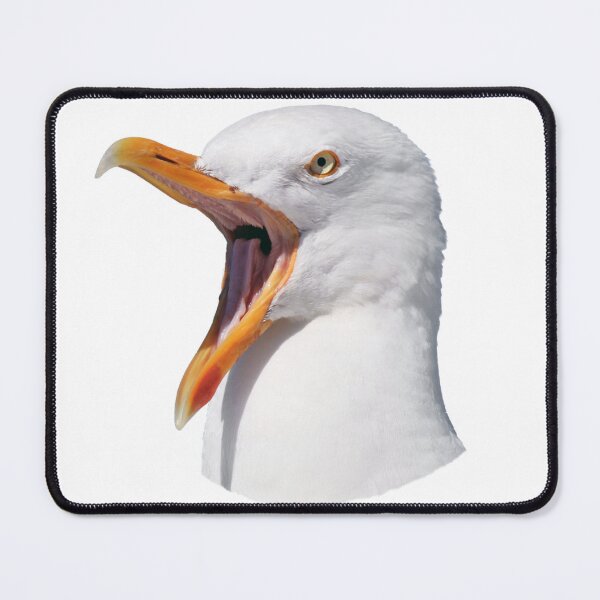 Item preview, bird screech designed and sold by laribot.